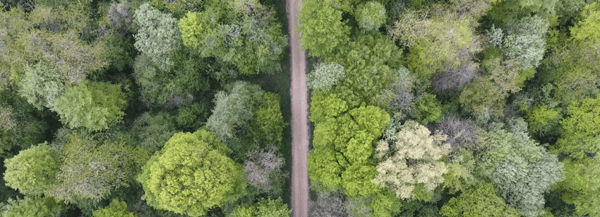 2025 05 28 - Bomen (ESG)