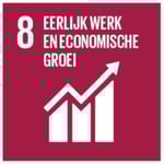 SDG 8: Eerlijk werk en economische groei